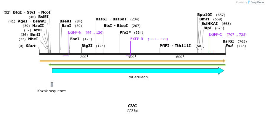 35171_map