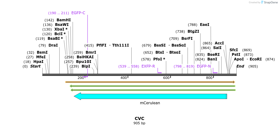 35172_map