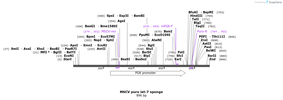 35177_map