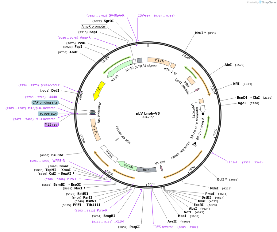 351819_map