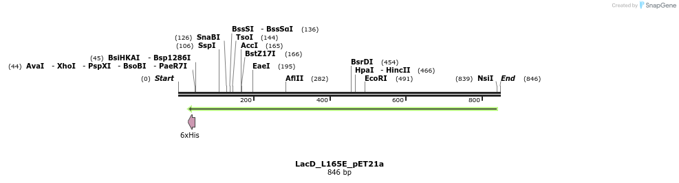 35184_map