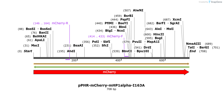 351861_map