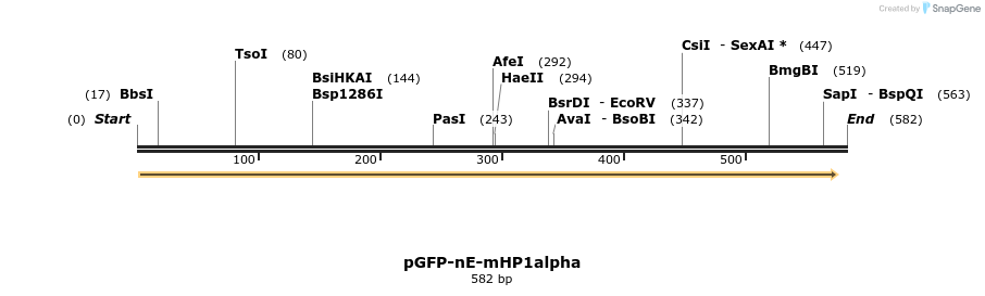 351878_map