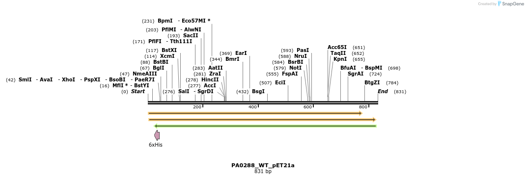 35190_map