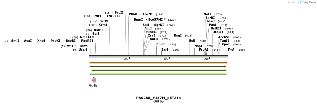 35191_map