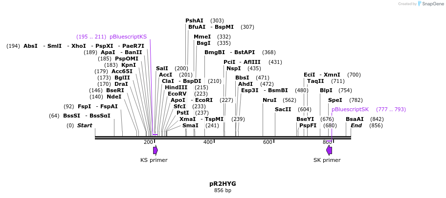 35199_map
