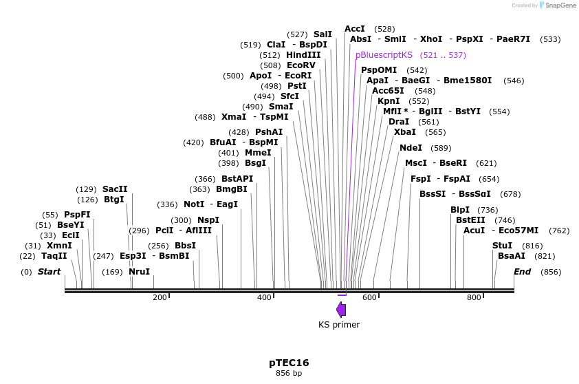 35201_map