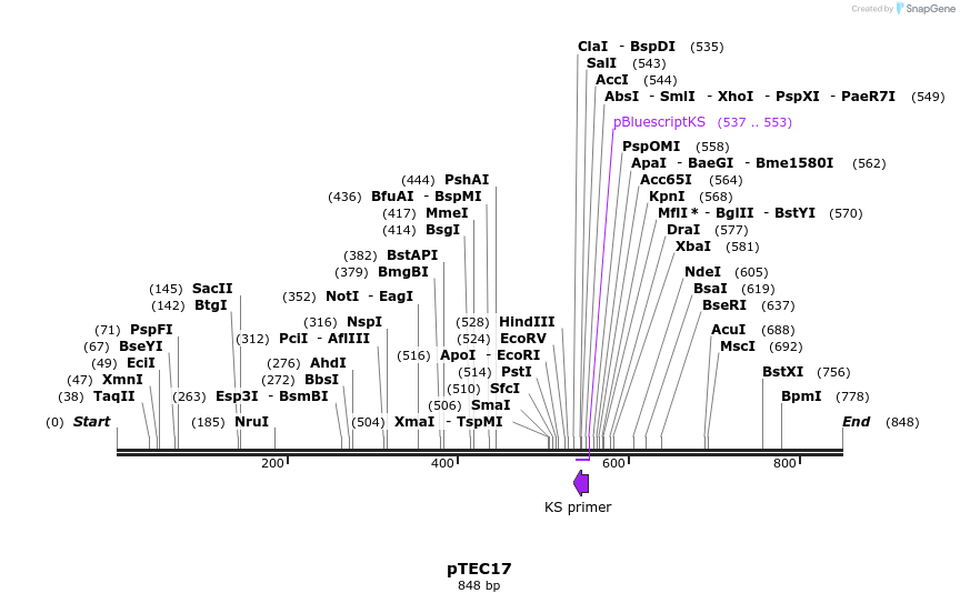 35202_map