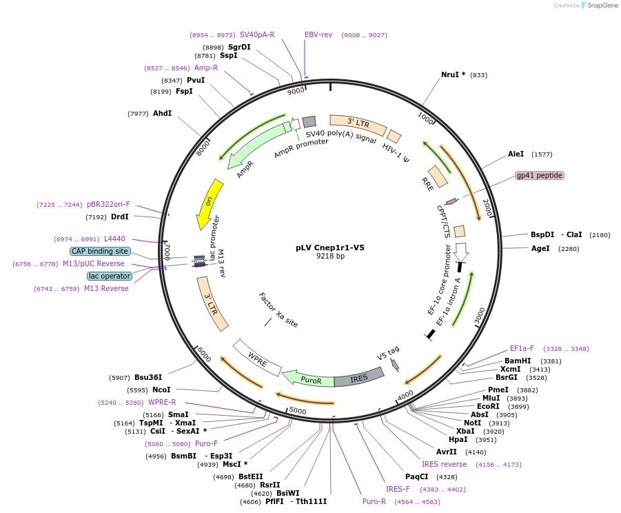 352020_map