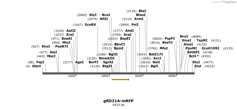 352222_map