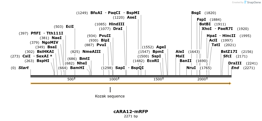 352224_map