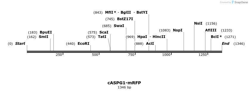 352227_map