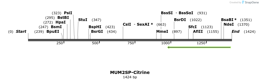 352228_map