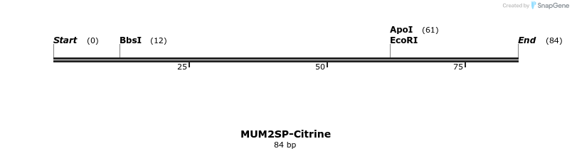 352229_map