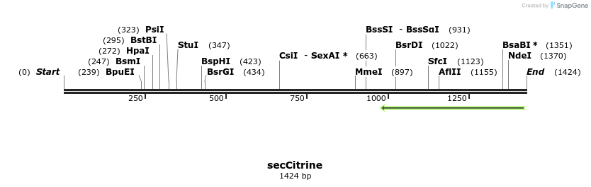 352231_map