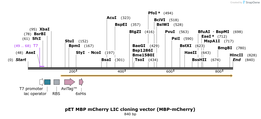 35244_map
