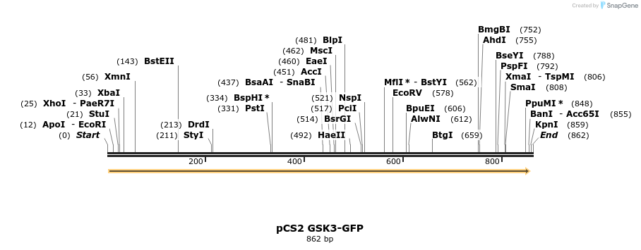 35272_map