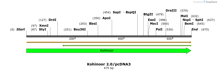 352744_map