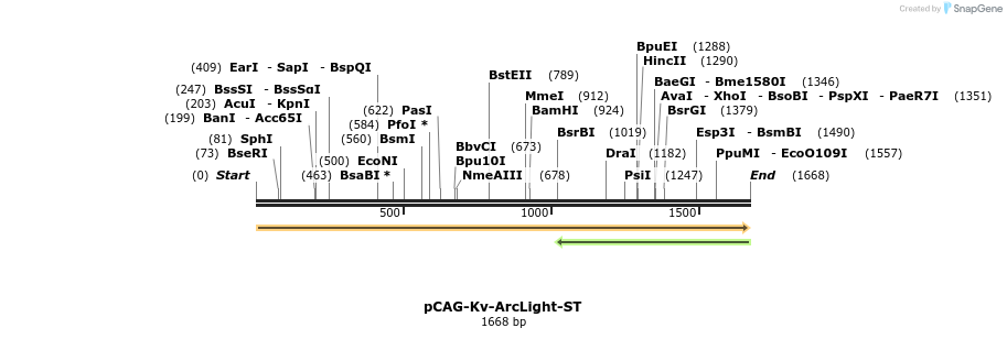 352750_map