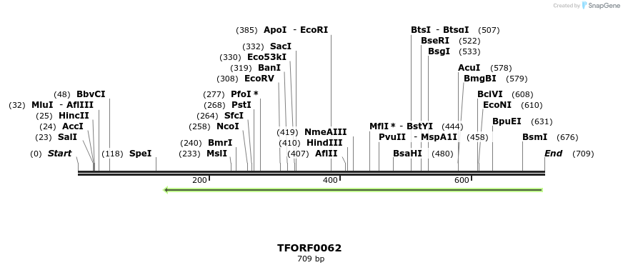 353001_map