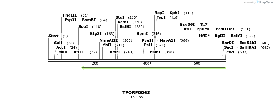 353004_map