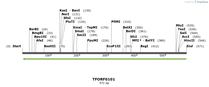 353019_map