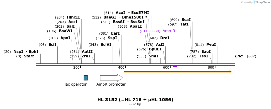35302_map