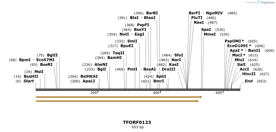 353026_map