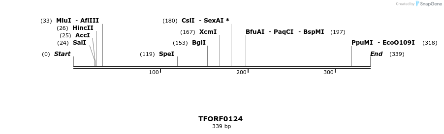 353029_map