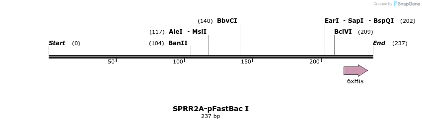 353072_map
