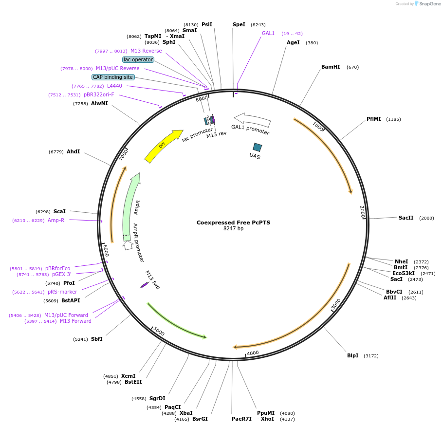 353107_map