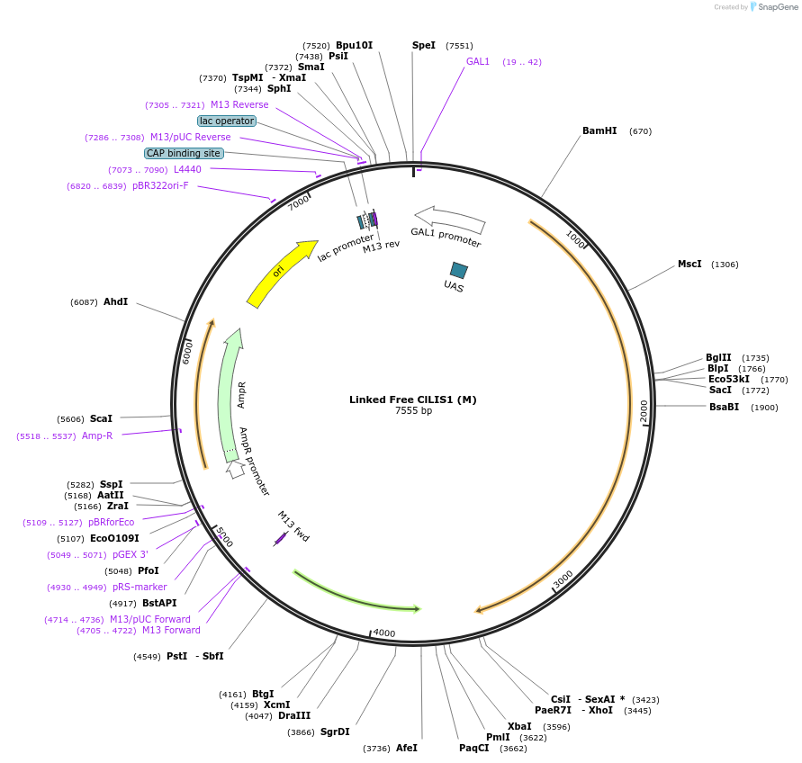353111_map
