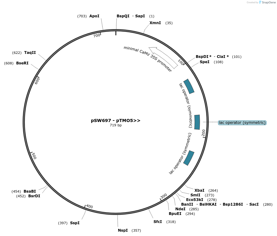 353230_map