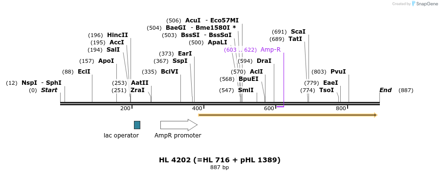 35338_map