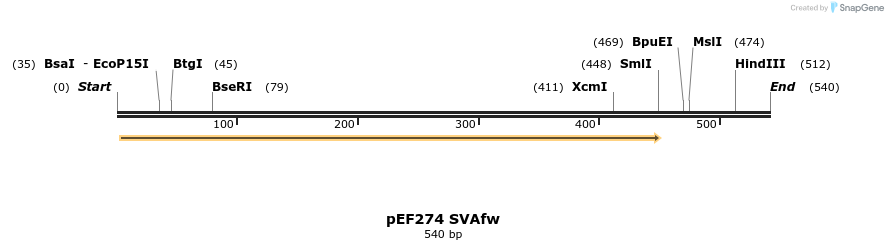 353383_map