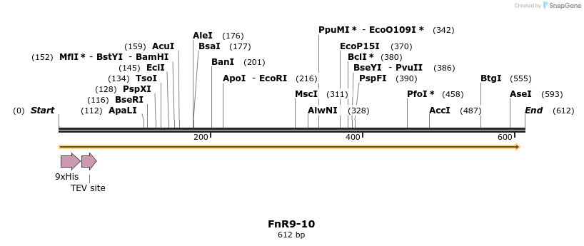 353486_map