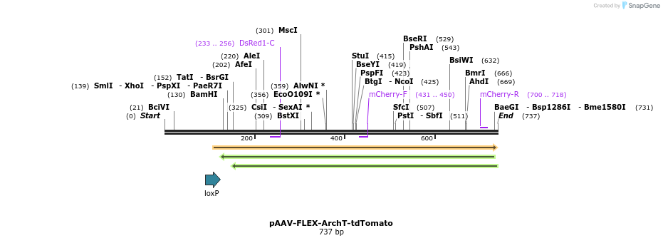 35350_map