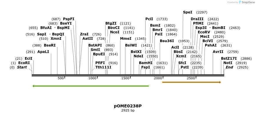 353521_map