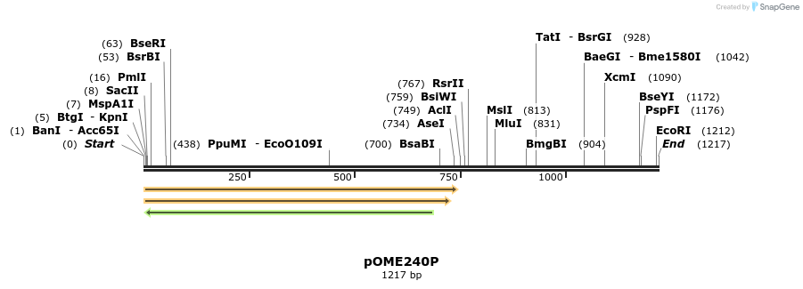353523_map