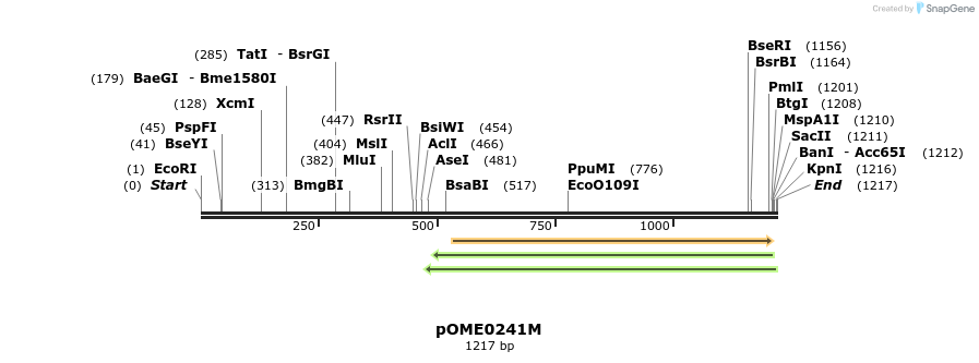 353524_map