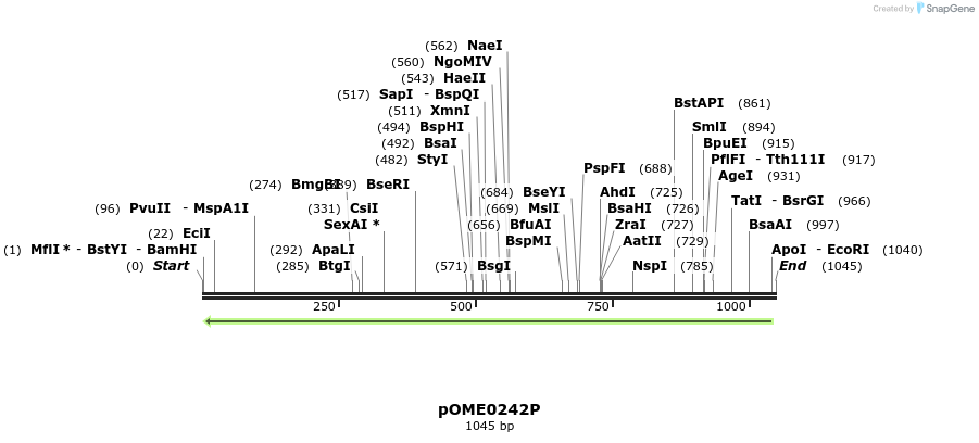 353525_map