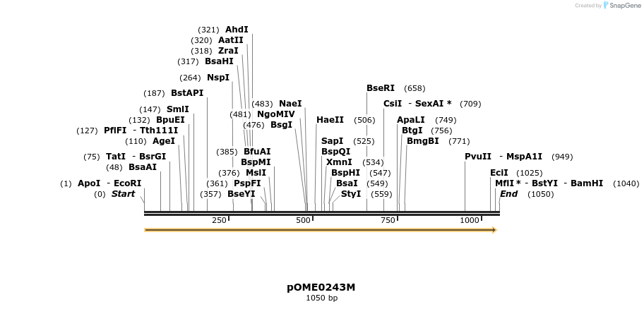 353526_map