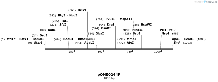 353527_map