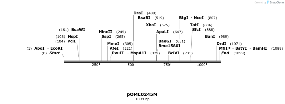 353528_map