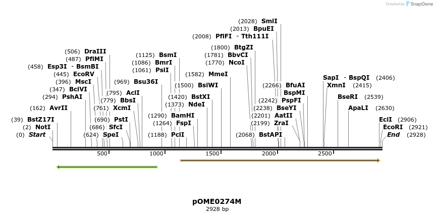 353533_map