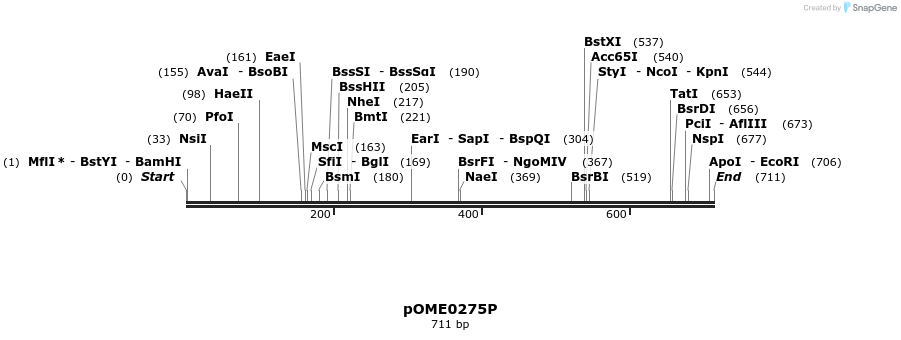 353534_map