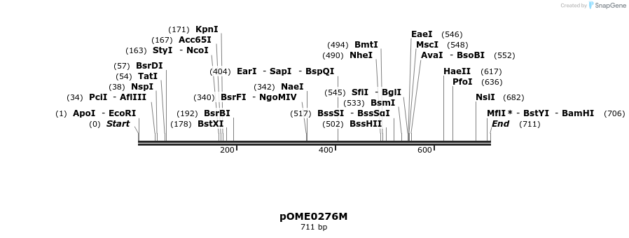 353535_map