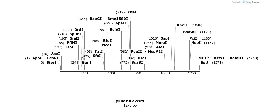 353537_map