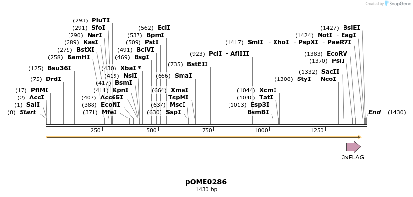 353538_map