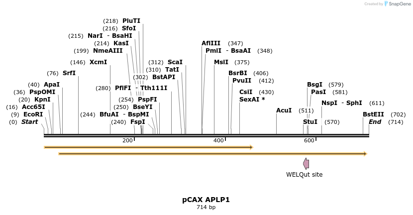 35354_map